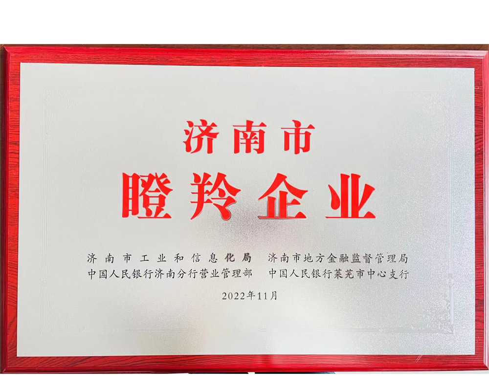 濟南市瞪羚企業